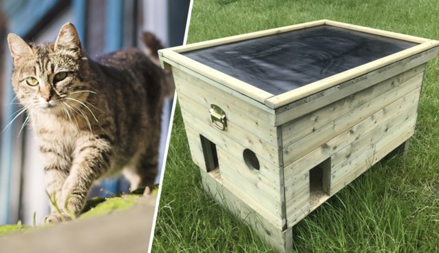 mechanisch laden slachtoffer Luxe Schuilhok voor (Zwerf)katten | Bescherming tegen Slecht Weer &  Roofdieren